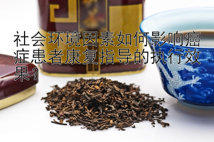 社会环境因素如何影响癌症患者康复指导的执行效果？